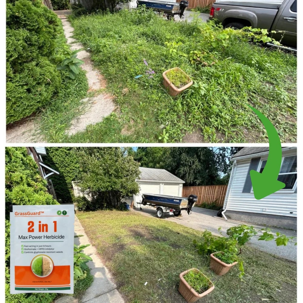1758139739 GrassGuard%20%281%29