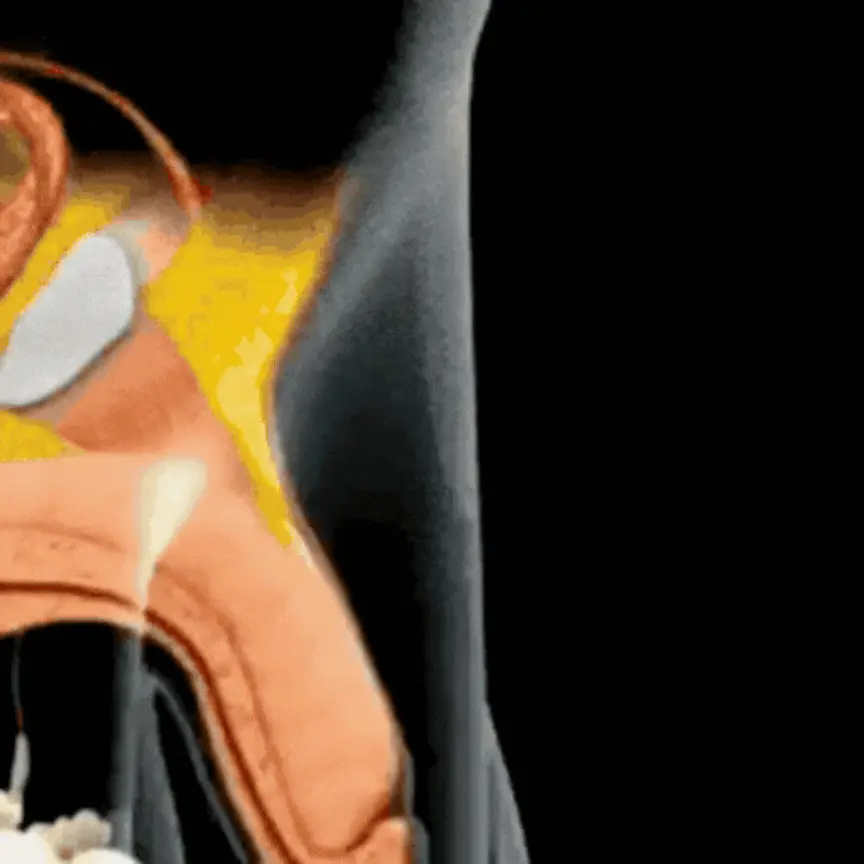 Dominex™ | For a firm erection in just 5 minutes 14 1769575840 ezgif 77f11b13e3bb94cf