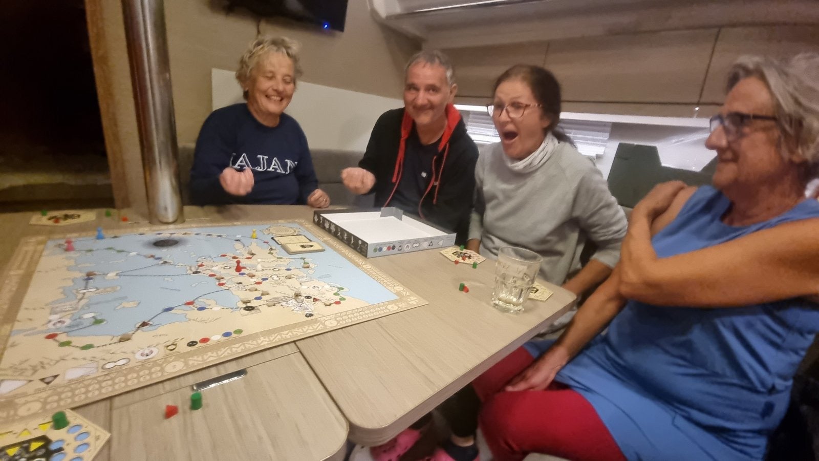 Mnenje stranke