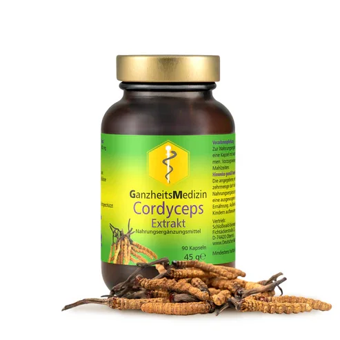 Cordyceps Pilz Extrakt