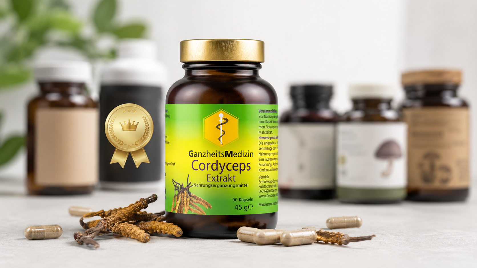 Cordyceps Pilz im Wald