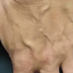 VeinRelief™ Vein Soothing Spray | Eliminates 95% varicose veins and swelling in just 5 days!