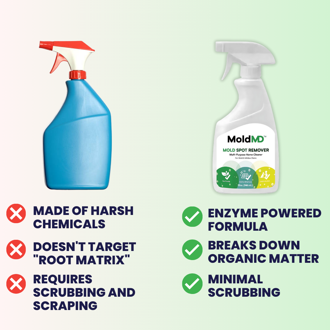 MoldMD Mold Spray