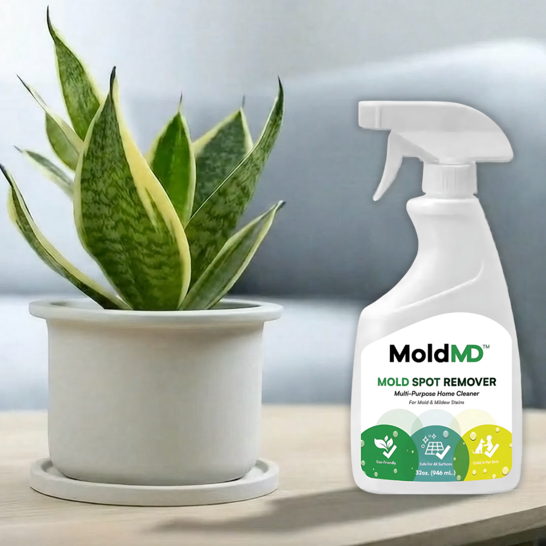 MoldMD Mold Spray