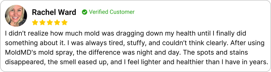 Customer Review 2