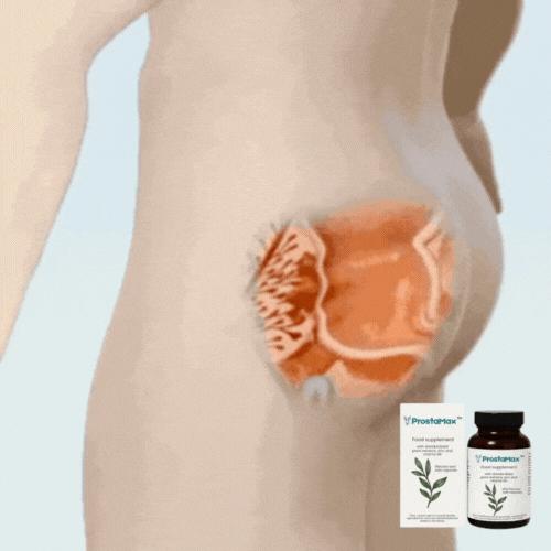ProstaMax™ Capsules Dietary Supplemet With Standardized Herbal Extract