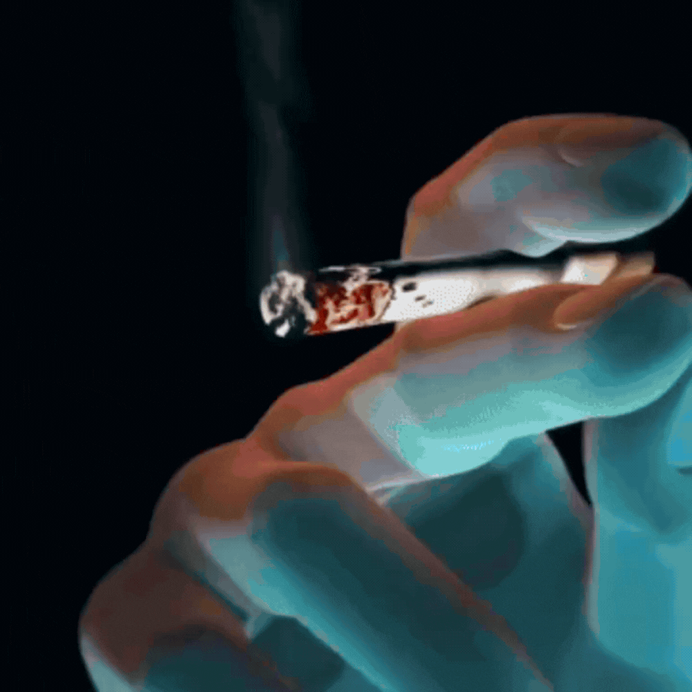 NicoStop™ | Help reduce the urge to smoke in just 2 days — breathe easier, feel calmer, and make quitting a simple, natural step