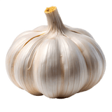 Raw Garlic