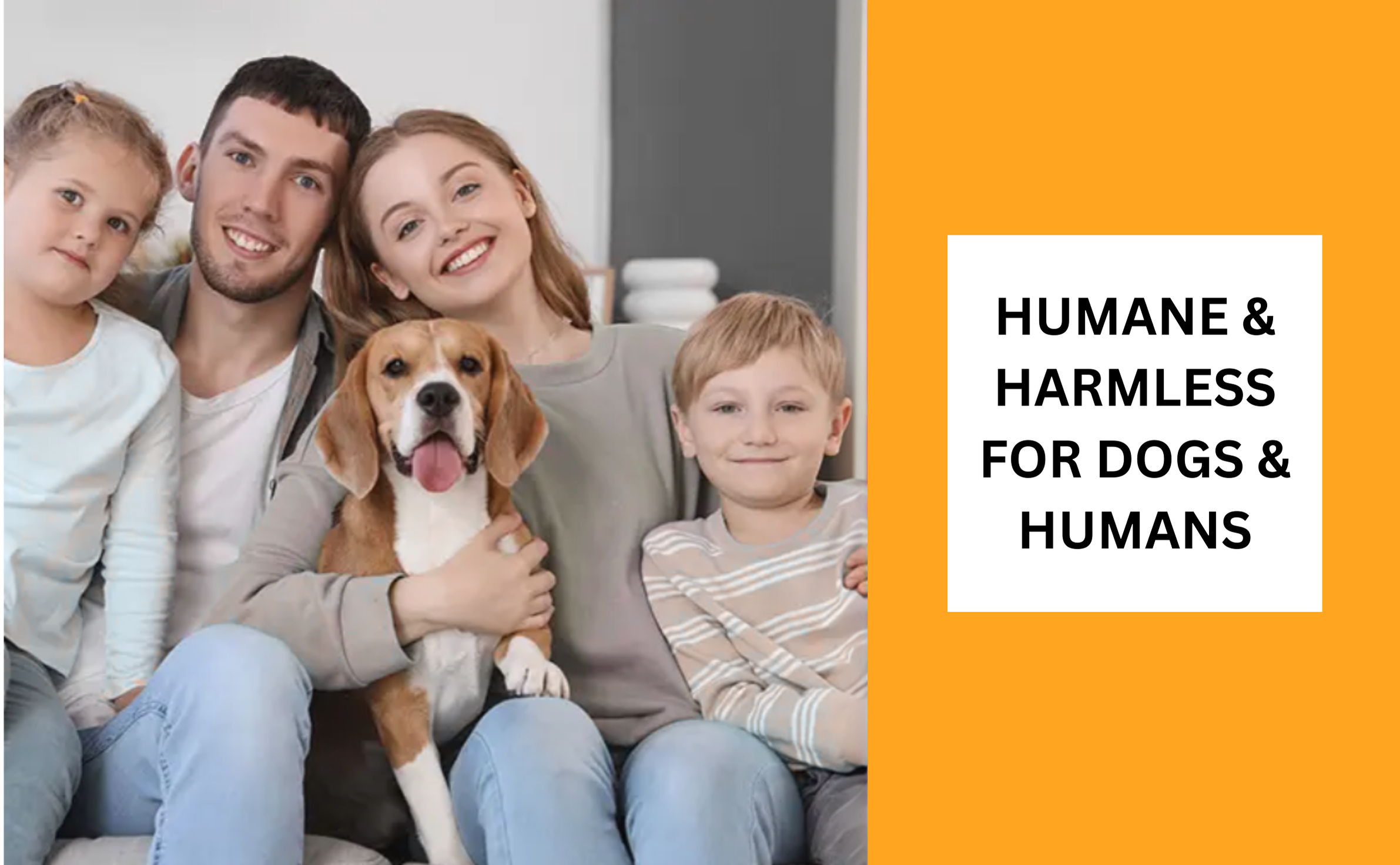 Humane & harmless for dogs and humans