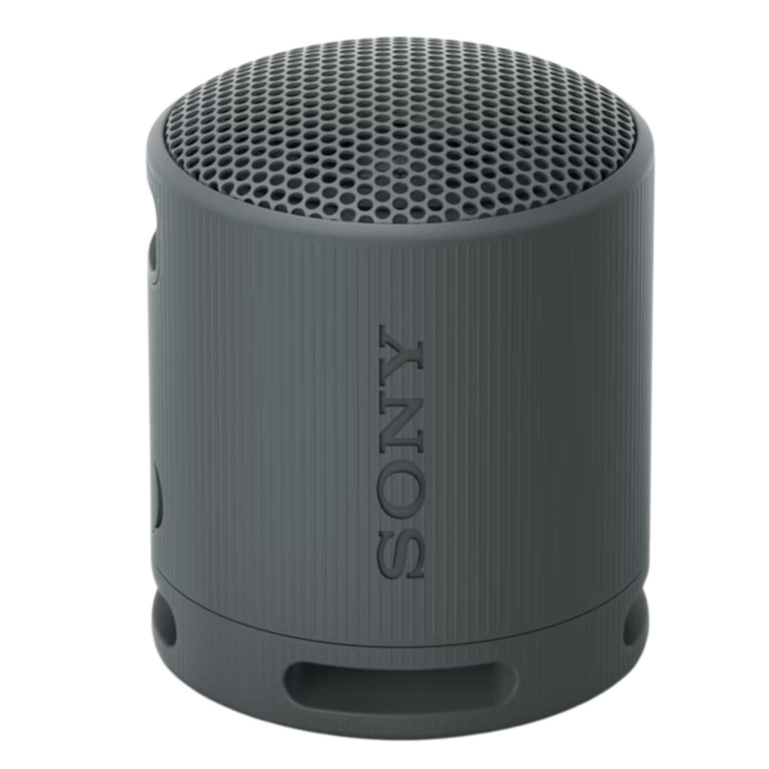 Sony SRS-XB100