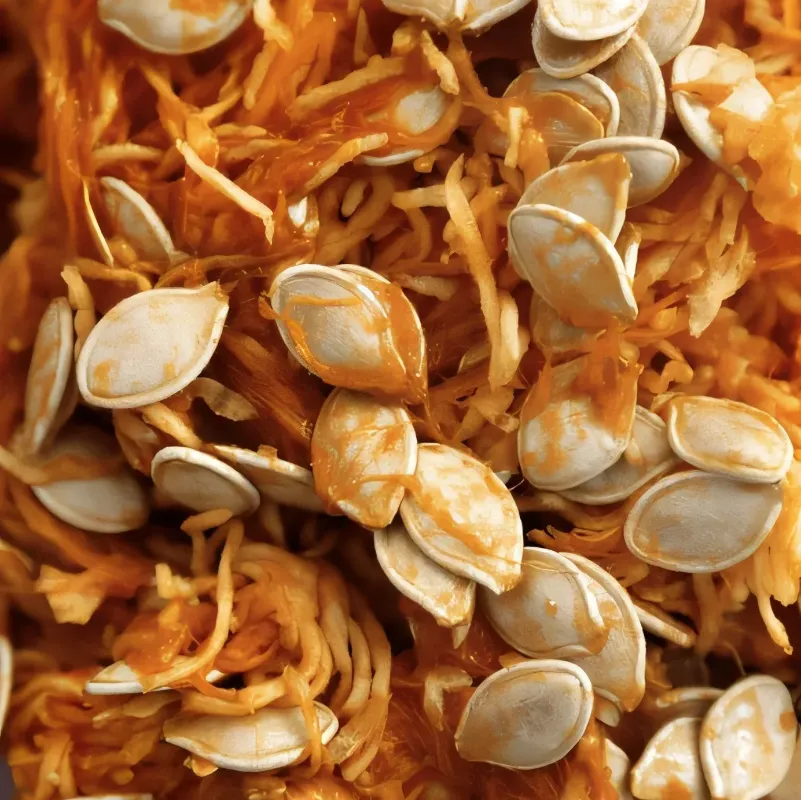 Pumpafrön
