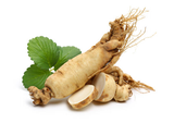 Ginseng Extract