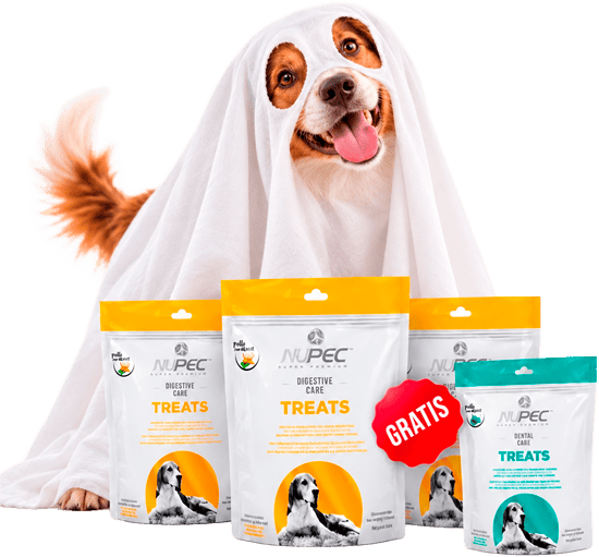 Perrito disfrazado de fantasma con Nupec Treats Digestive y Dental Care