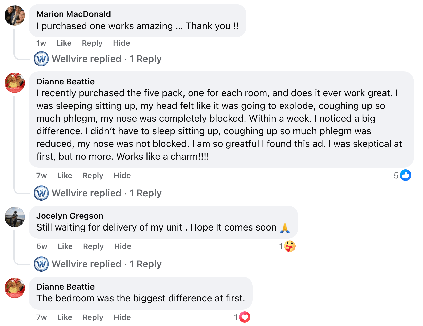 Facebook comment screenshot 2 from the Wellvire source page