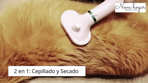 Cepillo Secador para Mascotas – xixmotechnology