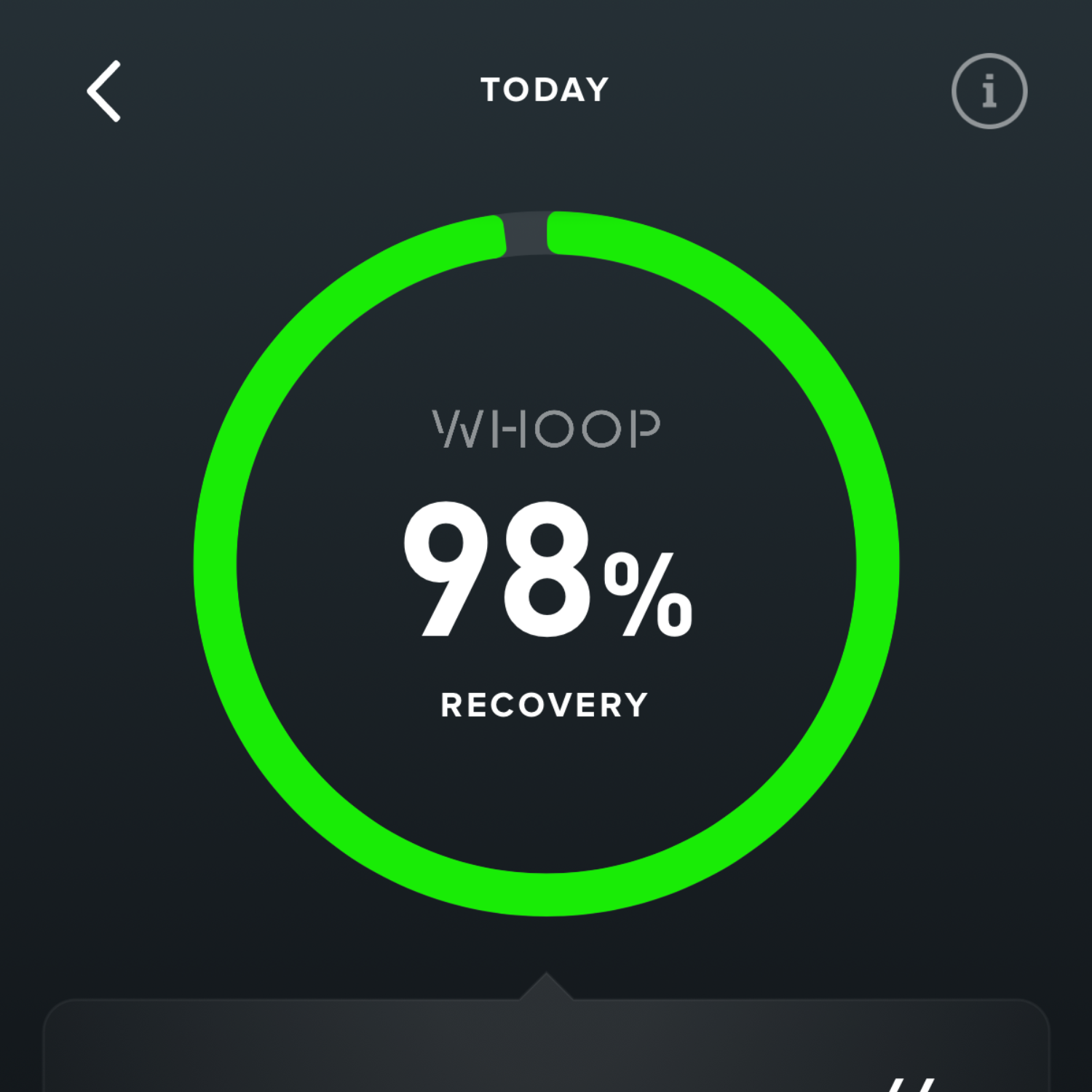 Whoop band showing 98% recovery score