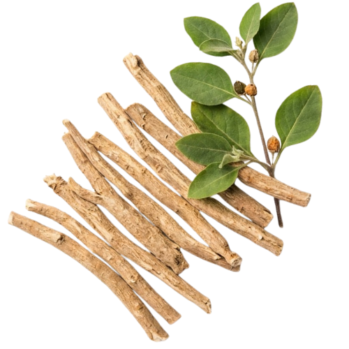 KSM-66® Ashwagandha