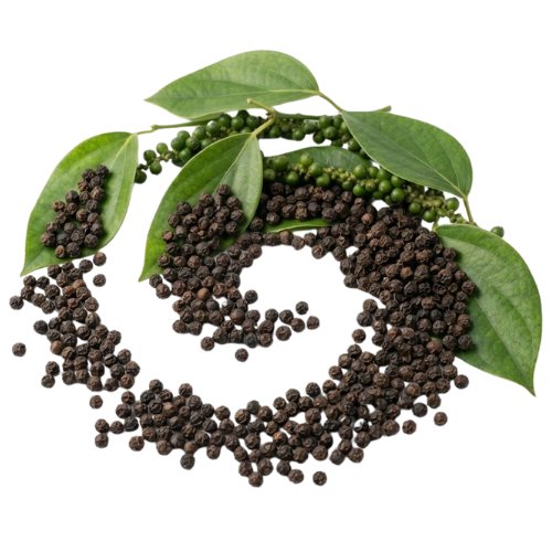 Black Pepper Extract