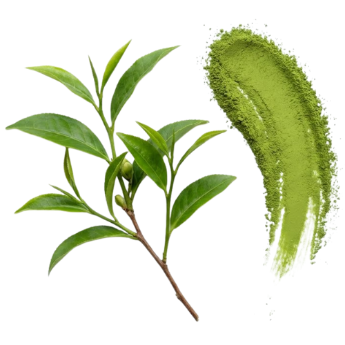 L-Theanine
