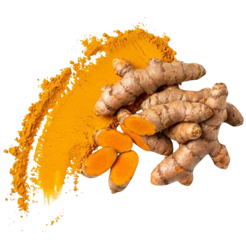 95% Curcuminoids