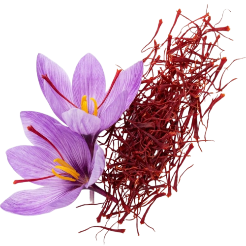 Saffron Extract