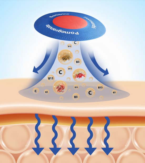 MetaboEase™
