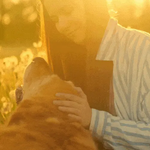 Veyric™ Natural Yeast Relief | Stop Itching, Licking and Chewing, Noticeable Relief Within Days