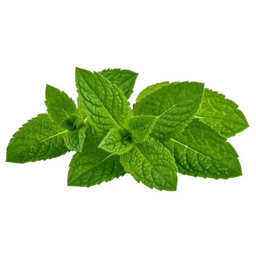 Menthol