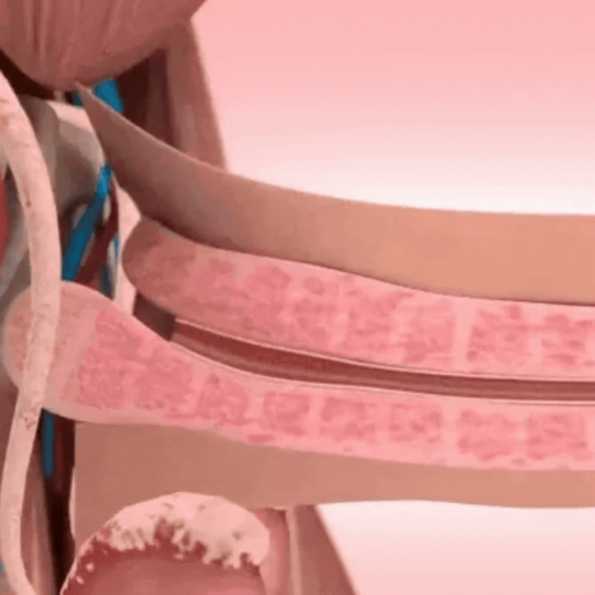 Elycura™ Mens Repair Activity Cream image Elycura™ Mens Repair Activity Cream