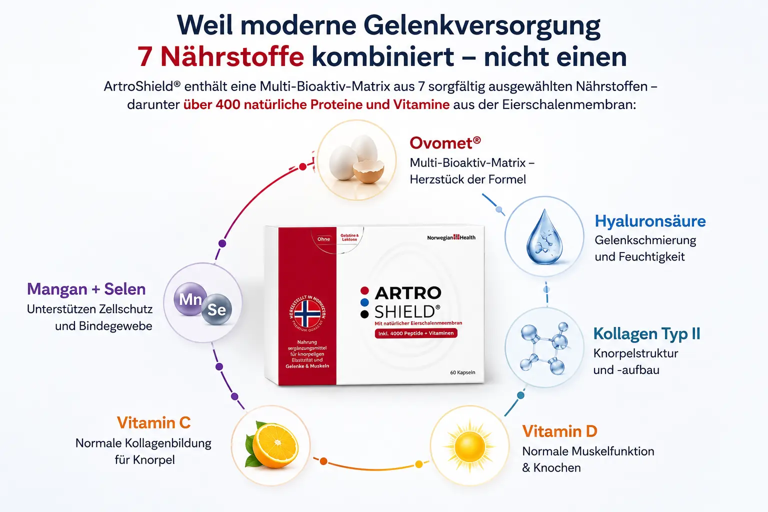 ArtroShield Wirkstoffe