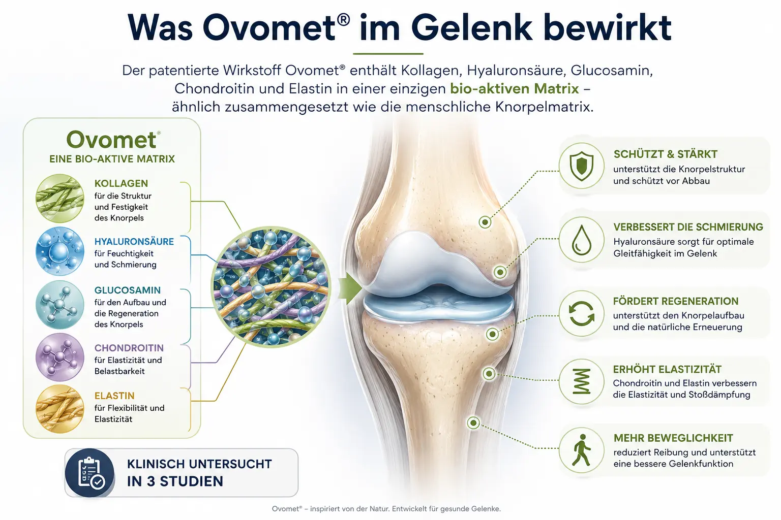Gelenk-Röntgenbild