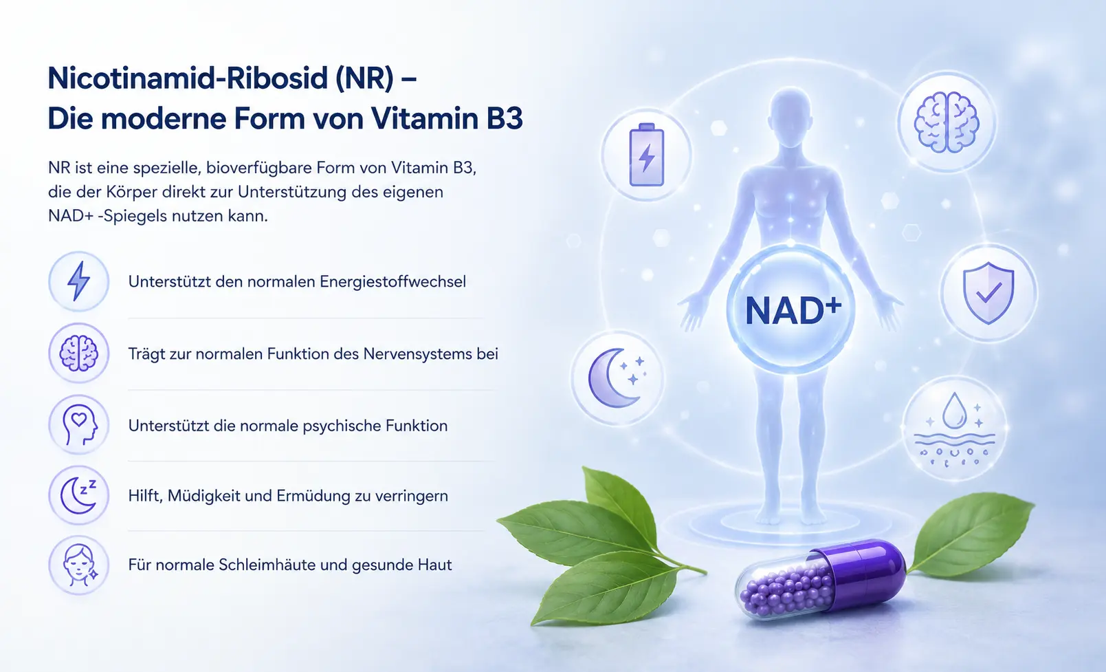 NAD+ Coenzym – wie es wirkt