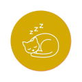 Sleep