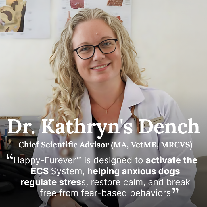 Paw Origins Product 9