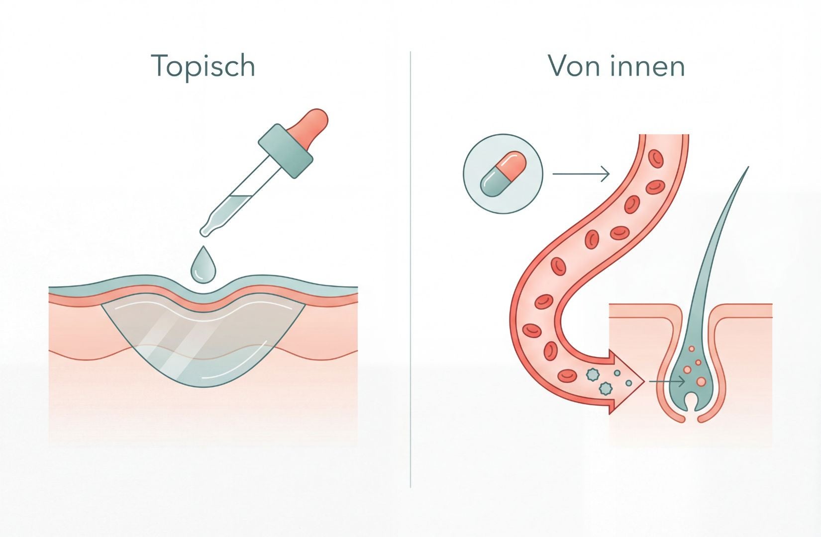 ShinyHair Haarwuchsbooster Wirkung