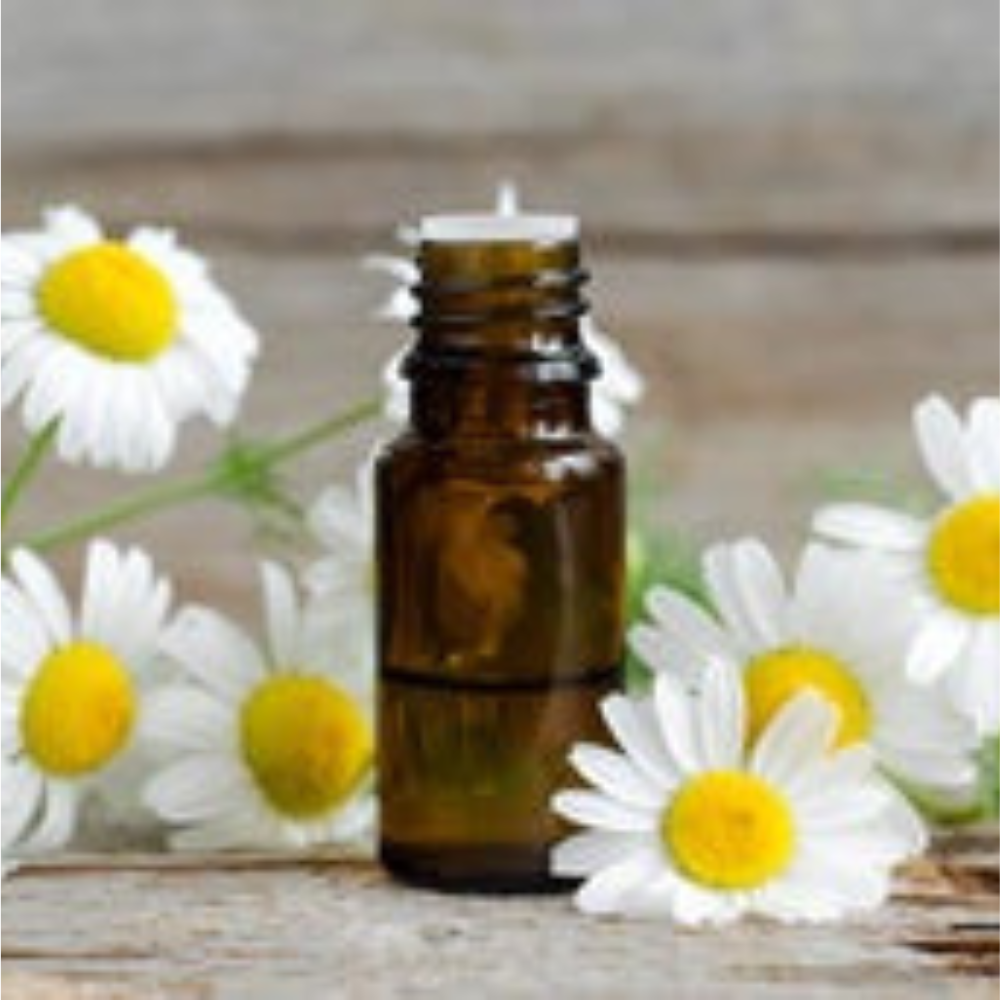 Chamomile