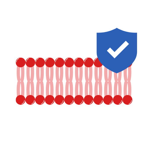 Wirkprinzip 3