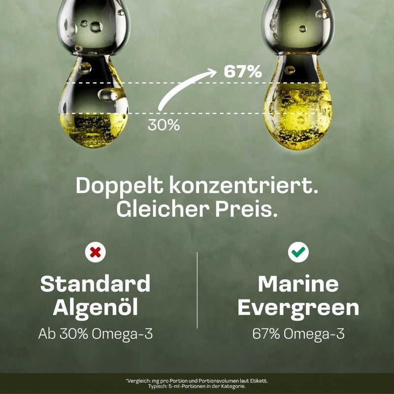 Vergleich Marine Evergreen