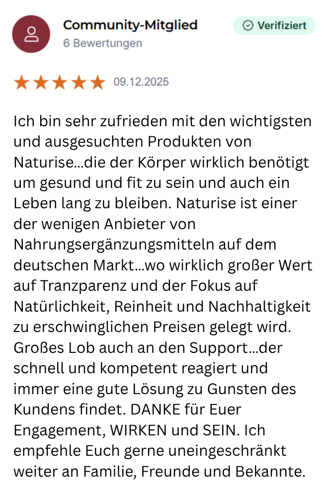 Erfahrungsbericht 3