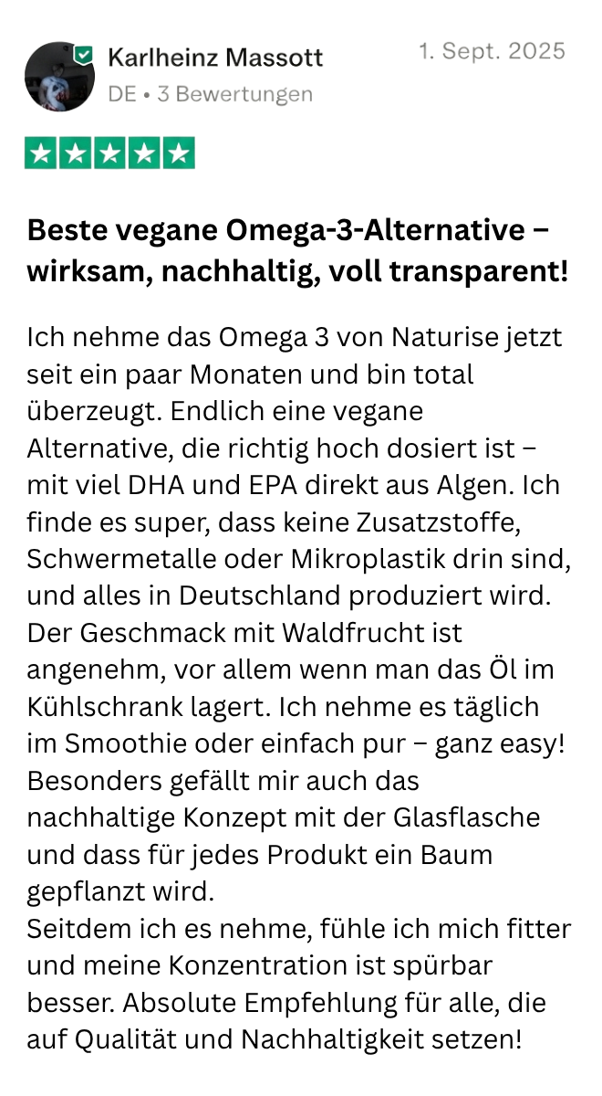 Erfahrungsbericht 4