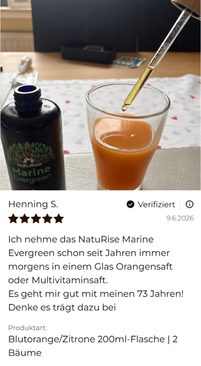 Erfahrungsbericht 2